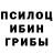Псилоцибиновые грибы Psilocybine cubensis Atabek Abdullayev