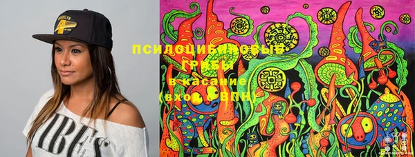 гашик Алзамай