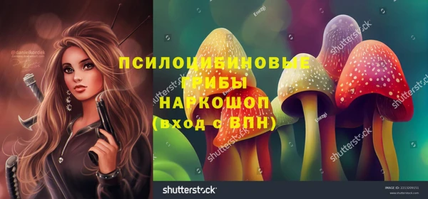 Альфа ПВП Алексеевка