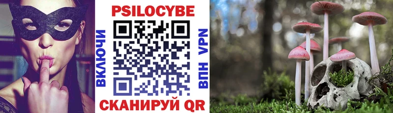 Галлюциногенные грибы Cubensis  Тюмень 